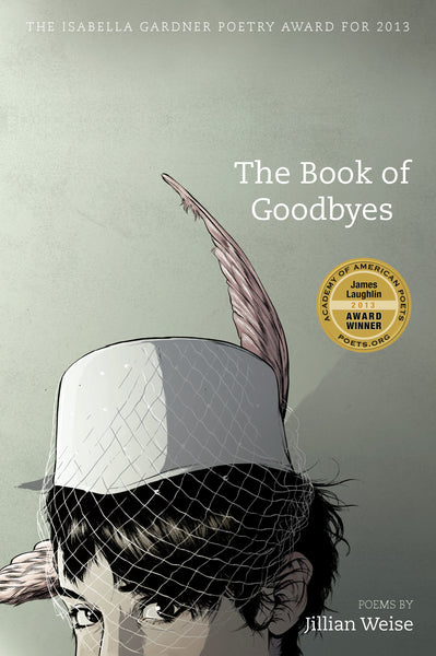 the book of goodbyes