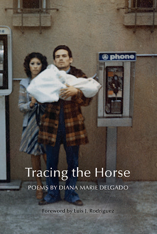 Tracing the Horse - BOA Editions, Ltd.